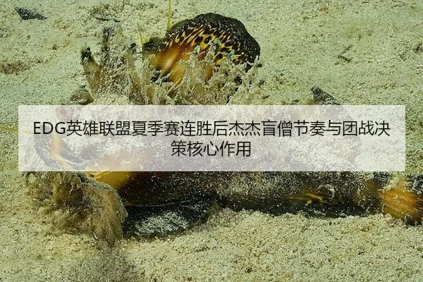 ying-xiong-lian-meng-xia-ji-sai-lian-sheng-hou-jie-jie-mang-seng-jie-zou-yu-tuan-zhan-jue-ce-he-xin-zuo-yong-3-320.jpg