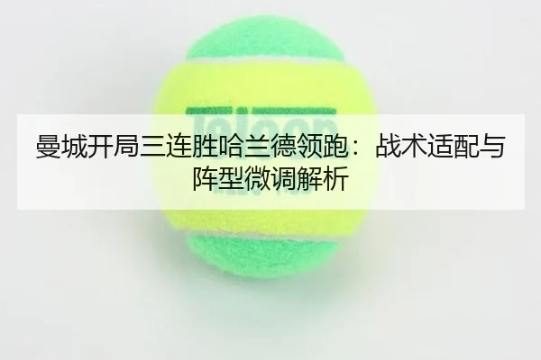 man-cheng-kai-ju-san-lian-sheng-ha-lan-de-ling-pao-zhan-shu-shi-pei-yu-zhen-xing-wei-tiao-jie-xi-3-927.jpg